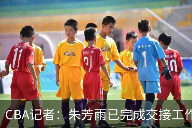 CBA记者：朱芳雨已完成交接工作，与广东队说再见